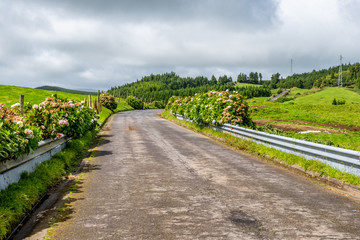 Fototapeta na wymiar Traditional Empty Road in the Island of São Miguel, Azores, Portugal