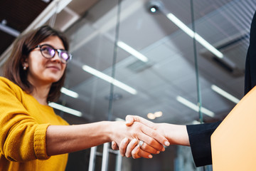 Business lady partnership handshake meeting concept. Handsome businesswoman handshaking after good...