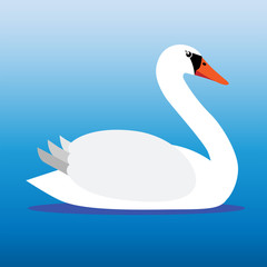 Swan