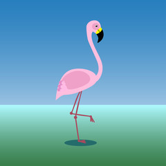Fototapeta na wymiar Flamingo, isolated flat vector illustration.