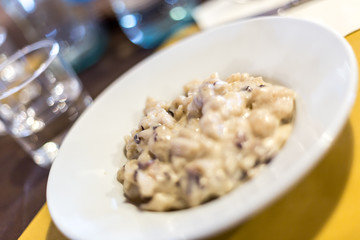 alpine gnocchi with radicchio and gorgonzola, gnocchi di malga, gnochi sbatùi, typical dish in the refuge of Lessinia natural park