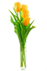 Bouquet of bright yellow tulips on a white background.