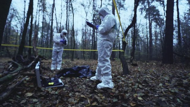 Experts in protective gear examining murder scene in forest, forensic science