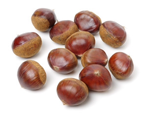 Sweet chestnut on white background