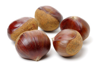 Obraz premium Sweet chestnut on white background