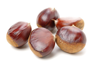 Sweet chestnut on white background