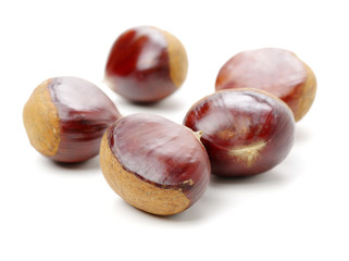 Sweet chestnut on white background