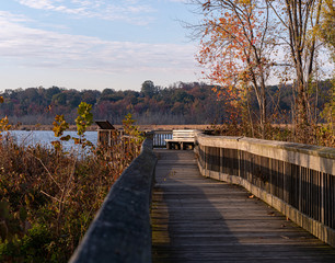 Boardwalk with Bench Over a River on an Autumn Morning