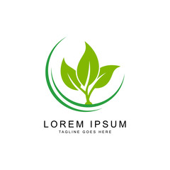 Organic leaf  logo vector template