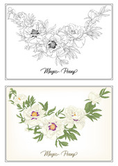 White Peony. Coloring page for the adult coloring book. with colored sample. Colored and outline design. Vector illustration. Isolated on white background