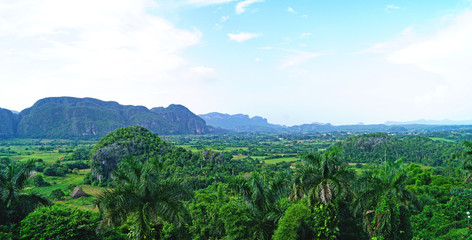 Muro de la Prehistoria en El Valle Viñales, Cuba, Republica Cuba © sanguer