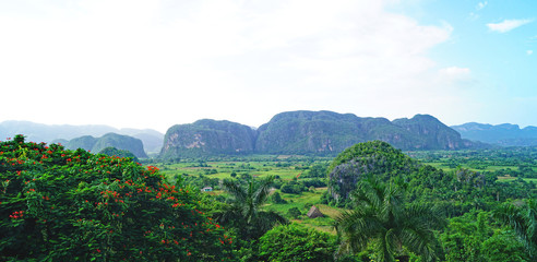Muro de la Prehistoria en El Valle Viñales, Cuba, Republica Cuba © sanguer