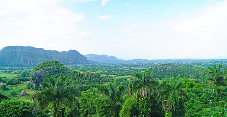 Muro de la Prehistoria en El Valle Viñales, Cuba, Republica Cuba © sanguer