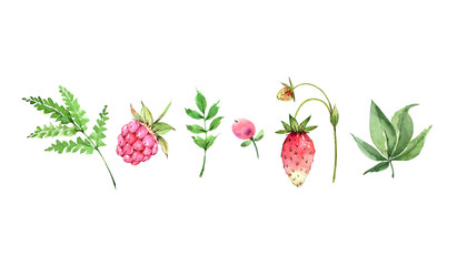 watercolor border of raspberries and strawberries and green leaves