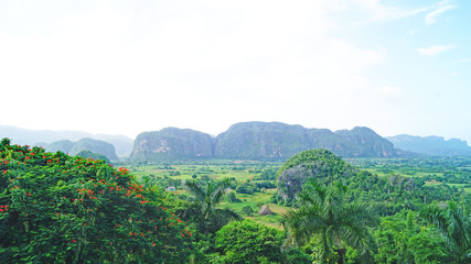 Muro de la Prehistoria en El Valle Viñales, Cuba, Republica Cuba © sanguer