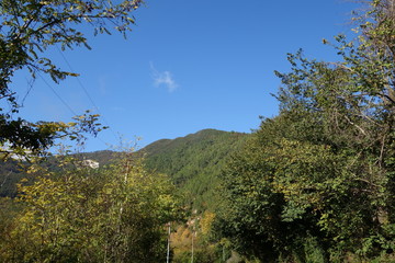 Paesaggio collinare
