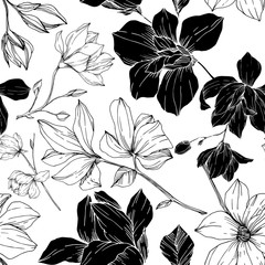 Vector Magnolia floral botanical flowers. Black and white engraved ink art. Seamless background pattern. - 301819001