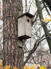 Late autumn, the birdhouse is left by birds until spring.