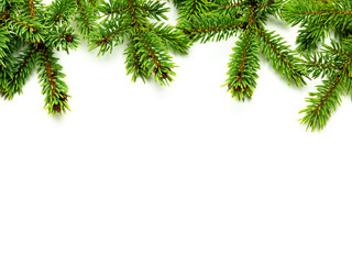 Bord&uuml;re Tannenzweige isoliert Vorlage Karte