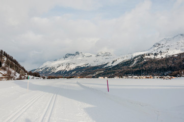 Sils, Langlauf, Langlaufloipe, Winter, Wintersport, Oberengadin, Alpen, Corvatsch, Graub&uuml;nden, Schweiz
