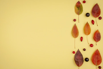 Autumn leaves with cranberries and rose hips.