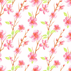 Beautiful seamless pattern with cherry blossom and leaves  on a white background. Hand painted in  watercolor.