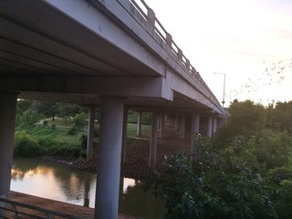 Waugh Street  Bat Bridge Houston Texas USA