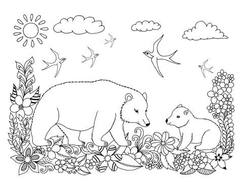 Vector illustration bears in nature in the flowers. Coloring book anti-stress for adults. Black and white.
