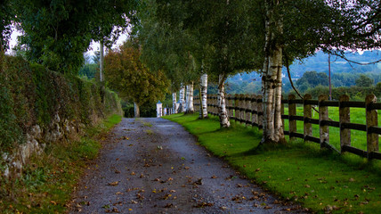 Fototapeta premium Country Road
