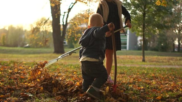 Mom's assistant. The Toddler boy helps his older sister clean up the fallen leaves in the backyard. Brother and sister