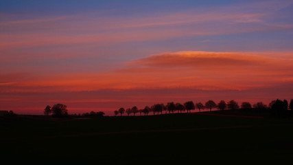 red sky above the landscape - red-colored clouds in the evening sky, on the horizon silhouettes of tree alley