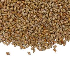 Cassia tora , Sicklepod on white background