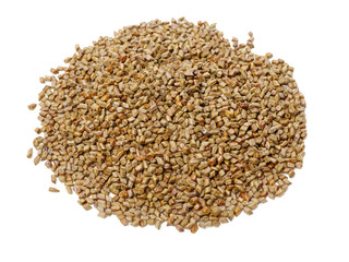 Cassia tora , Sicklepod on white background