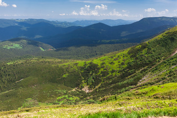 Naklejka premium Beautiful atmospheric contrasty summer view of Chornohora mountains from Mount Hoverla. It is the highest mountain of the Ukrainian Carpathian Mountains