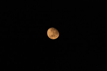 MOON