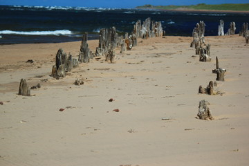 Pier Ruins on  Beach