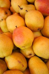 Fresh ripe organic pears as a background.Autumn harvest,fruits, vegan food or gardening concept with copy space.Top view.