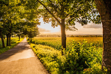 Naklejka premium Abendstimmung bei Weilheim