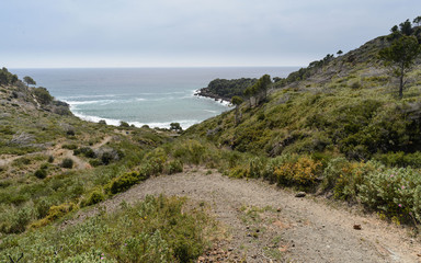Fototapeta na wymiar Paisaje costero de Cala Murtra , playa de guijarros del Parque Natural de la Costa Brava, Cataluña, España