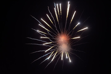 Obraz premium Firework Display Lighting up the Dark Sky