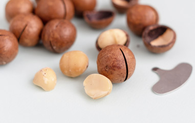 macadamia nuts and a metal key for opening nuts. nutritious and healthy snack.