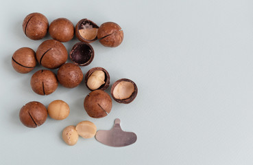 macadamia nuts and a metal key for opening nuts. nutritious and healthy snack.