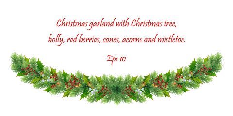 Christmas holiday design. Realistic fir-tree branches, pine, cones, red berries, holly, acorns and mistletoe. Eps 10