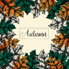 Autumn background in hand drawn style with leaves. Autumn design. For design textiles, fabric, packaging, paper, surface decoration, background.