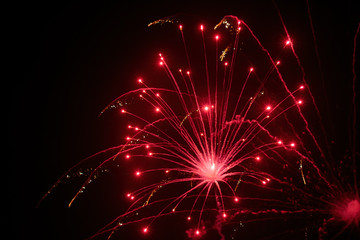 Firework Display Lighting up the Dark Sky