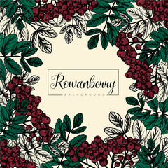 Hand drawn background of rowanberry branch with leaves and berries.  Autumn design. Red forest berries. For design textiles, fabric, packaging, paper, surface decoration, background.