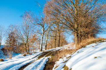 Winter Landschaft, Frühling, Schneeschmelze, Forstwirtschaft