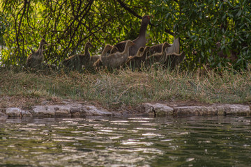 Fotografias de la ciudad de Mar del Plata, Buenos Aires, Argentina