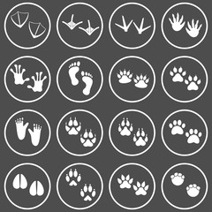 animals footprint icon vector design symbol