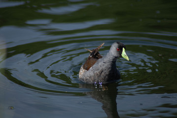 Mar del Plata - Buenos Aires - Argentina 
